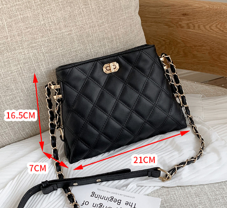Sac à main Chaine - SM013